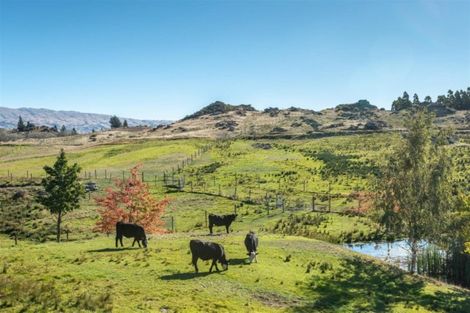 Photo of property in 196 Chapman Road, Earnscleugh, Alexandra, 9391