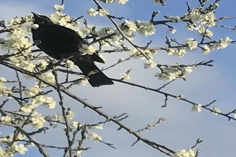 Photo of property in 18 Roslyn Street, Taumarunui, 3920