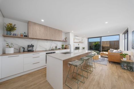 Photo of property in 119c Ruskin Street, Addington, Christchurch, 8024