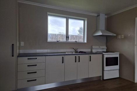 Photo of property in 17 Pleiades Street, Waitara, 4320