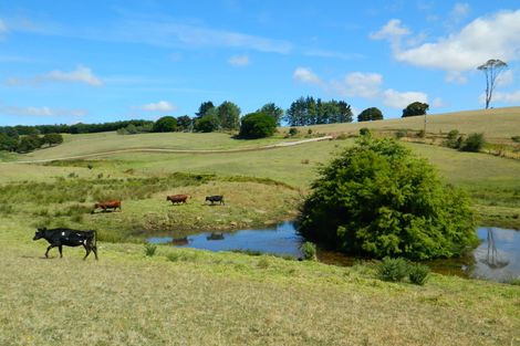 Photo of property in 524 Te Ahu Ahu Road, Waimate North, Kerikeri, 0293