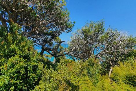 Photo of property in 3 Hall Head Road, Kawau Island, 0920