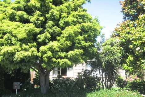 Photo of property in 19 Rosella Street, Broomfield, Christchurch, 8042