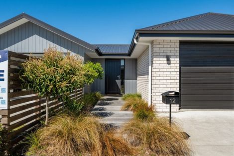 Photo of property in 12 Mustang Alley, Burleigh, Blenheim, 7201