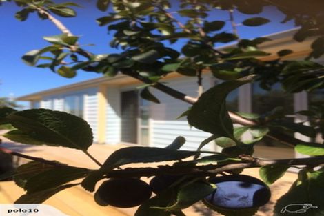 Photo of property in 233a Point Wells Road, Point Wells, 0986