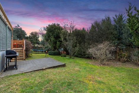 Photo of property in 45 Te Otinga Place, Pyes Pa, Tauranga, 3112