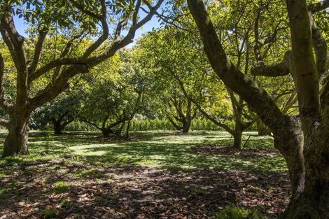 Photo of property in 13b Astelia Drive, Omokoroa, 3114