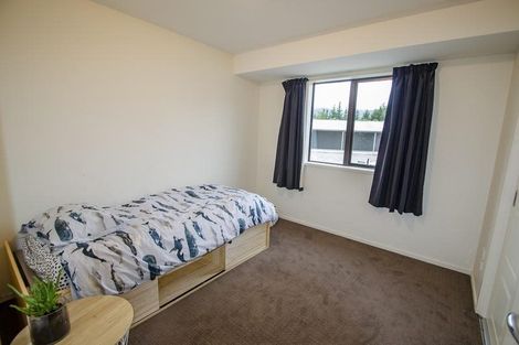 Photo of property in 133 Bannockburn Road, Cromwell, 9384