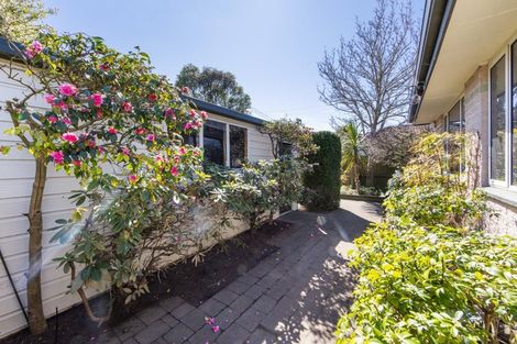 Photo of property in 1/33 Trafford Street, Harewood, Christchurch, 8051