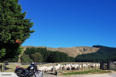 Photo of property in 210 Potts Road, Koputaroa, Levin, 5571