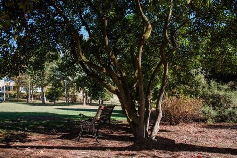 Photo of property in 90 Crawford Hills Road, Galloway, Alexandra, 9393