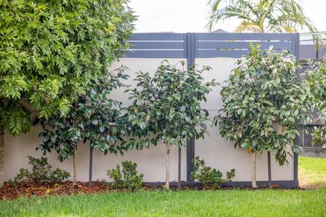 Photo of property in 41 Kingdon Street, Leamington, Cambridge, 3432