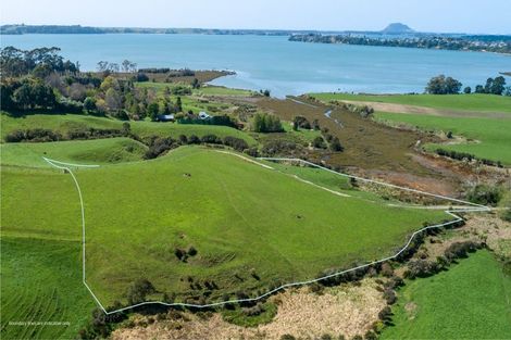 Photo of property in 288a Pahoia Road, Whakamarama, 3172