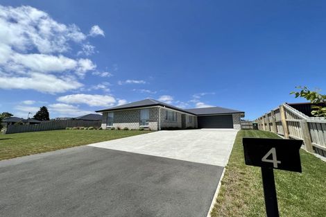 Photo of property in 4 Redhaven Rise, Netherby, Ashburton, 7700