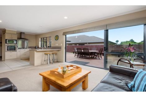 Photo of property in 117 Hollister Lane, Ohauiti, Tauranga, 3112