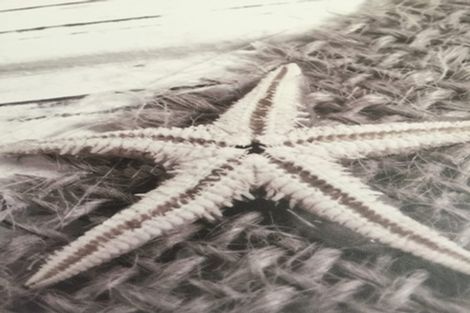 Photo of property in 4 Okiwa Place, Anakiwa, Picton, 7281