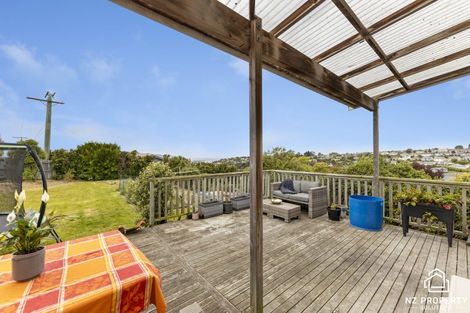 Photo of property in 101 Riselaw Road, Calton Hill, Dunedin, 9012