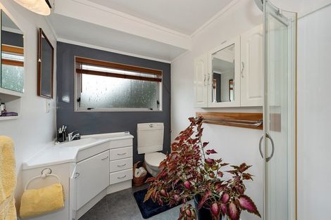 Photo of property in 3 Perindale Drive, Chartwell, Hamilton, 3210