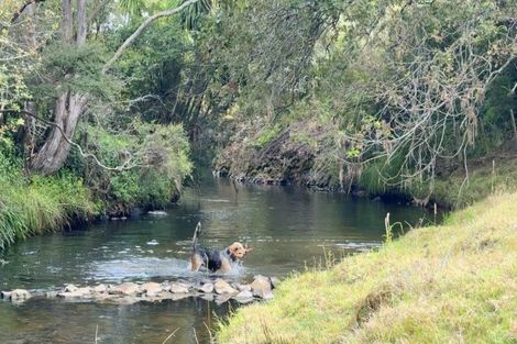 Photo of property in 451 Okete Road, Raglan, 3295