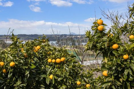 Photo of property in 76b Wolseley Road, Tanners Point, Katikati, 3170