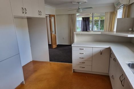 Photo of property in 22 Hudson Street, Riverlea, Hamilton, 3216