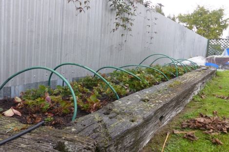 Photo of property in 6 Ruane Street, Glenavy, Waimate, 7980