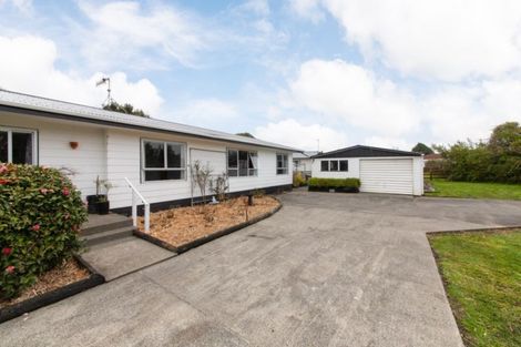 Photo of property in 81b Mill Street, Marton, 4710