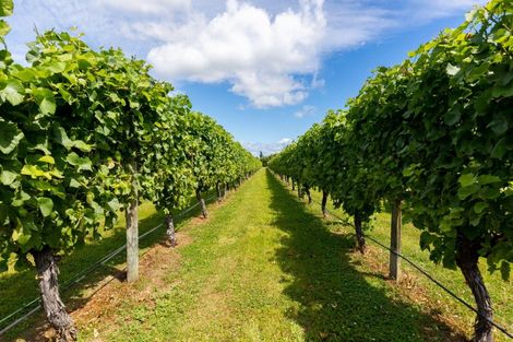 Photo of property in 58 Blicks Lane, Springlands, Blenheim, 7272