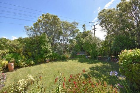 Photo of property in 234 Highcliff Road, Shiel Hill, Dunedin, 9013