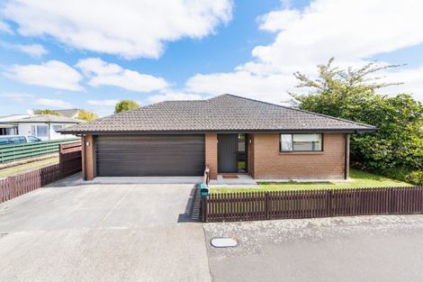 Photo of property in 346 Ruahine Street, Terrace End, Palmerston North, 4410