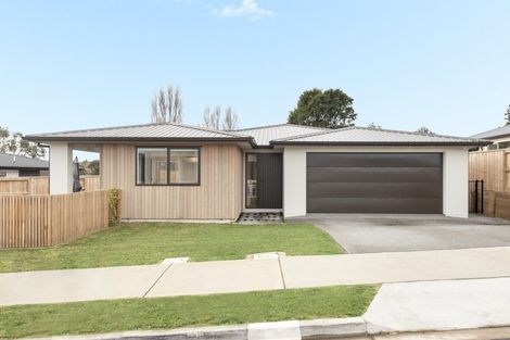 Photo of property in 63 Ruba Way, Ohauiti, Tauranga, 3112
