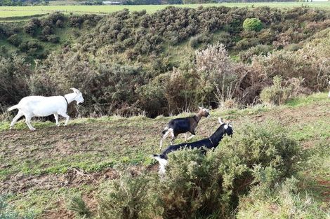 Photo of property in 23 Rameka Creek Road, Motupipi, Takaka, 7183