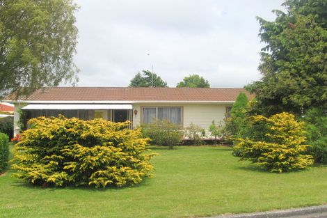 Photo of property in 118 Mangawhero Terrace, Ohakune, 4625