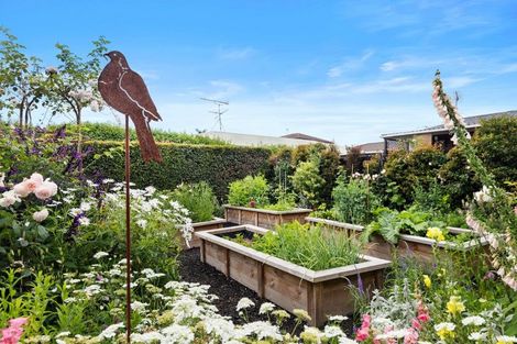 Photo of property in 98a Victoria Street, Pukekohe, 2120