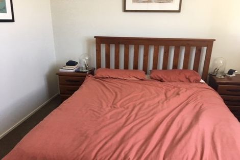 Photo of property in Croxley Mill Apartments, 310/33 Frederick Street, Te Aro, Wellington, 6011