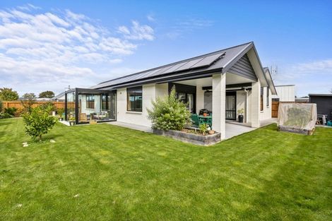 Photo of property in 17 Plains Avenue, Masterton, 5810