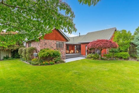 Photo of property in 10a Tararua Street, Masterton, 5810