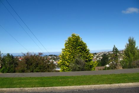 Photo of property in 34 Greenhill Avenue, Wakari, Dunedin, 9010
