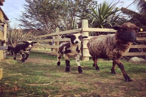 Photo of property in 379 Blue Spur Road, Blue Spur, Hokitika, 7882