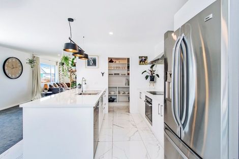 Photo of property in 14 Miskell Street, Pegasus, 7612