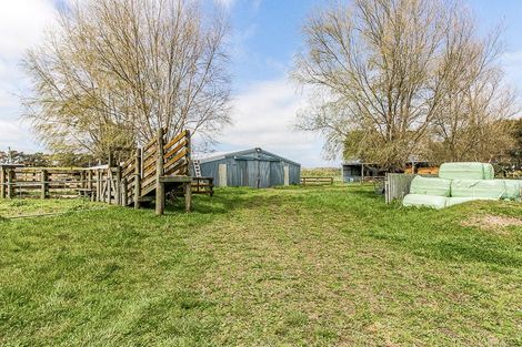 Photo of property in 358 Foxton Shannon Road, Foxton, 4893