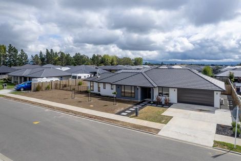 Photo of property in 123 Turnbull Drive, Witherlea, Blenheim, 7201