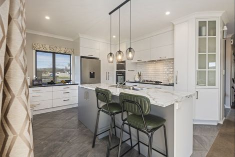 Photo of property in 46 Totara Road, Awapuni, Palmerston North, 4412