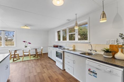 Photo of property in 30 Hassals Lane, Waltham, Christchurch, 8023