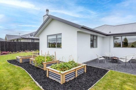 Photo of property in 22 Waikirikiri Avenue, Lincoln, 7608
