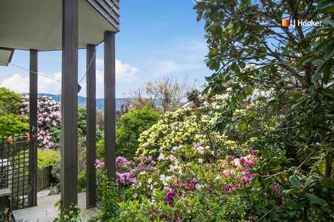 Photo of property in 31 Dunrobin Street, Waverley, Dunedin, 9013