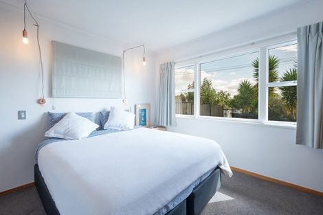 Photo of property in 195 Hill Street, Richmond, 7020