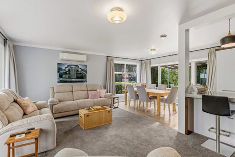 Photo of property in 13 Gordon Terrace, Matamata, 3400