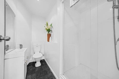 Photo of property in 22 Elizabeth Street, Pakuranga, Auckland, 2010