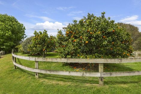 Photo of property in 168 Te Puroa Road, Ngaruawahia, 3793